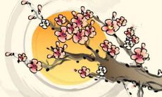 预测:以1973年出生的属牛人为主体,分析其未来5年的全方位运势走势