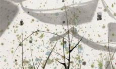 探索1977年属蛇人的幸运符和吉祥物:传承千年的古老信仰与文化象征