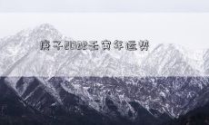 预测:从庚子到壬寅的两年间,2022至2023年度全貌及运势前景展望