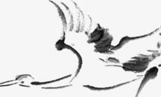 2022年,属鸡女人运势如何?对于出生于2005年的属鸡女性来说,她们是否能在全年保持好的运势呢?