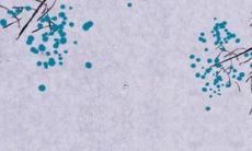 1963年生肖兔人的2022年男命59岁每月运势预测