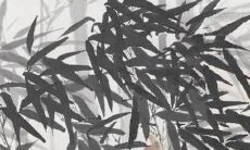 一份详尽的属蛇人开店命名指南:如何取一个能带来好运、招财进宝的店名?