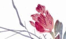 2022年属狗人在哪个方位可以获得财富?据说东南方向最为吉利,可谓金钱滚滚来!