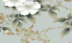 获取:了解2022年每个月的流年运势,免费获取最新资讯!