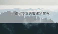 2022年属猴的人是否会经历太岁犯相,面临什么样的挑战或机遇?