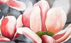 可以采用以属虎为本命年的人如何化解太岁之灾的方法?