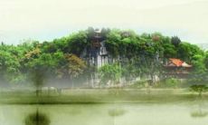 2022年属虎的人会遭遇犯太岁之灾吗?