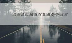 2022年生肖猪的运势预测,从事业、财富到感情,全面解析并由麦玲玲亲自呈现