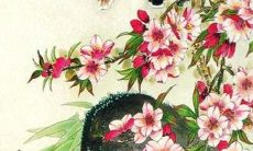 如果你属虎,如何避免或克服破太岁带来的不利影响呢?