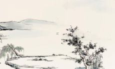 对于1985年出生的属牛人,2022年虎年的婚姻和情感状态如何?