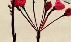 2022年虎年运势大揭秘:揭开1994年出生人士的命运之谜