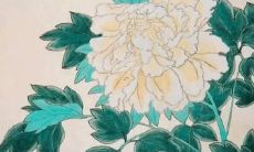 2022年属猪的白羊女健康运势:详细分析与未来展望