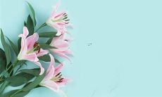 2022年属虎的人的吉凶运势如何?如何有效化解不利因素,获得幸福和成功?