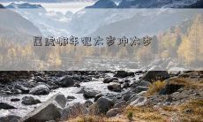 属虎的人在哪些年份会遭遇犯太岁和冲太岁的影响呢?