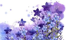 2022年十二生肖感情运势大揭秘:排行榜全解析