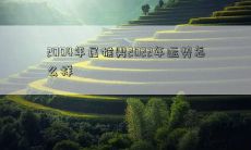 2004年出生的属猴男,在2022年将会迎来怎样的运势呢?