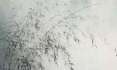 属虎的人在太岁年中面临哪些不利影响及克服之道?