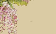 属蛇人2022年财运如何