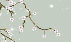 2022年新生宝宝的运势