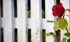 手指上的斗和簸箕代表什么意思 手上的斗有几个好