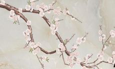 2022年63年属兔男命运势怎样