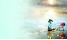 不一样月份生下来生肖属猪人运势解析