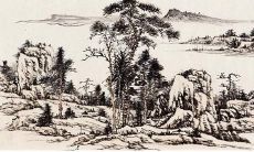 虎年运势免费测算2022