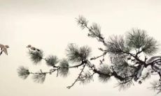 属猪牛人2022年全年运势