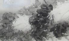 81年五月属鸡女2022年运势