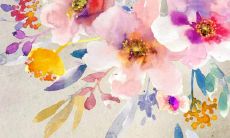 2022年属鸡犯太岁吗