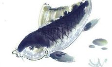 98年属虎人2022年全年运势 女性