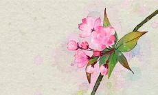 2022年属鼠人的工作运势