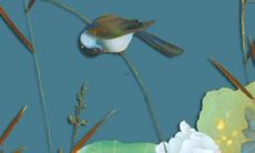 2022年属羊女婚姻运势好不好