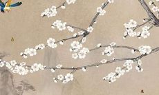 2022年属兔每月运势麦玲玲