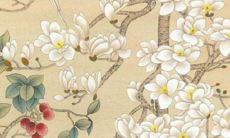 2022年蛇女真的那么难吗 属蛇女2022年运势