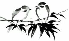 2004年出生在2022年运势