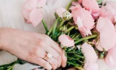 2017诺贝尔奖星座统计