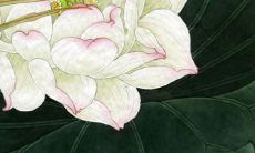 2022属猴女1992全年运势