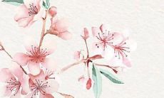 72年女2022运势年运势