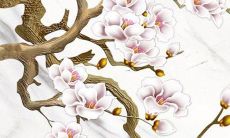 属龙人34岁转运年