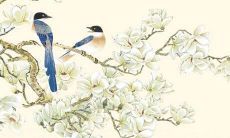 1997年属牛姻缘在哪年最旺盛 97属牛和谁在一起幸福