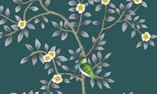 72年鼠女在2022年的运势