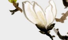 已亥日柱2022运势