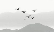 属猴人2022年考试运 属猴2022年考试顺利吗