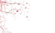 2022年属牛的人命运