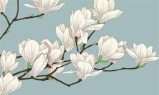 1970属狗女2022运势