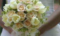 十二星座时尚衣服