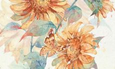 属虎旺什么属相