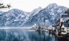 属蛇和属羊姻缘怎么样 蛇见羊哭断肠什么意思