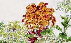 属蛇的人2022年运势麦玲玲